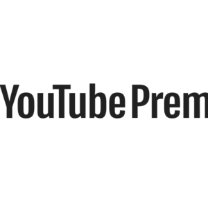 YOUTUBE PREMIUM 12 MESES / 1 PERFIL